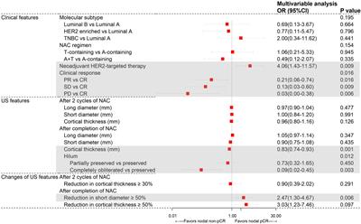 Accuracy of ultrasonographic changes during neoadjuvant chemotherapy to predict axillary lymph node response in clinical node-positive breast cancer patients